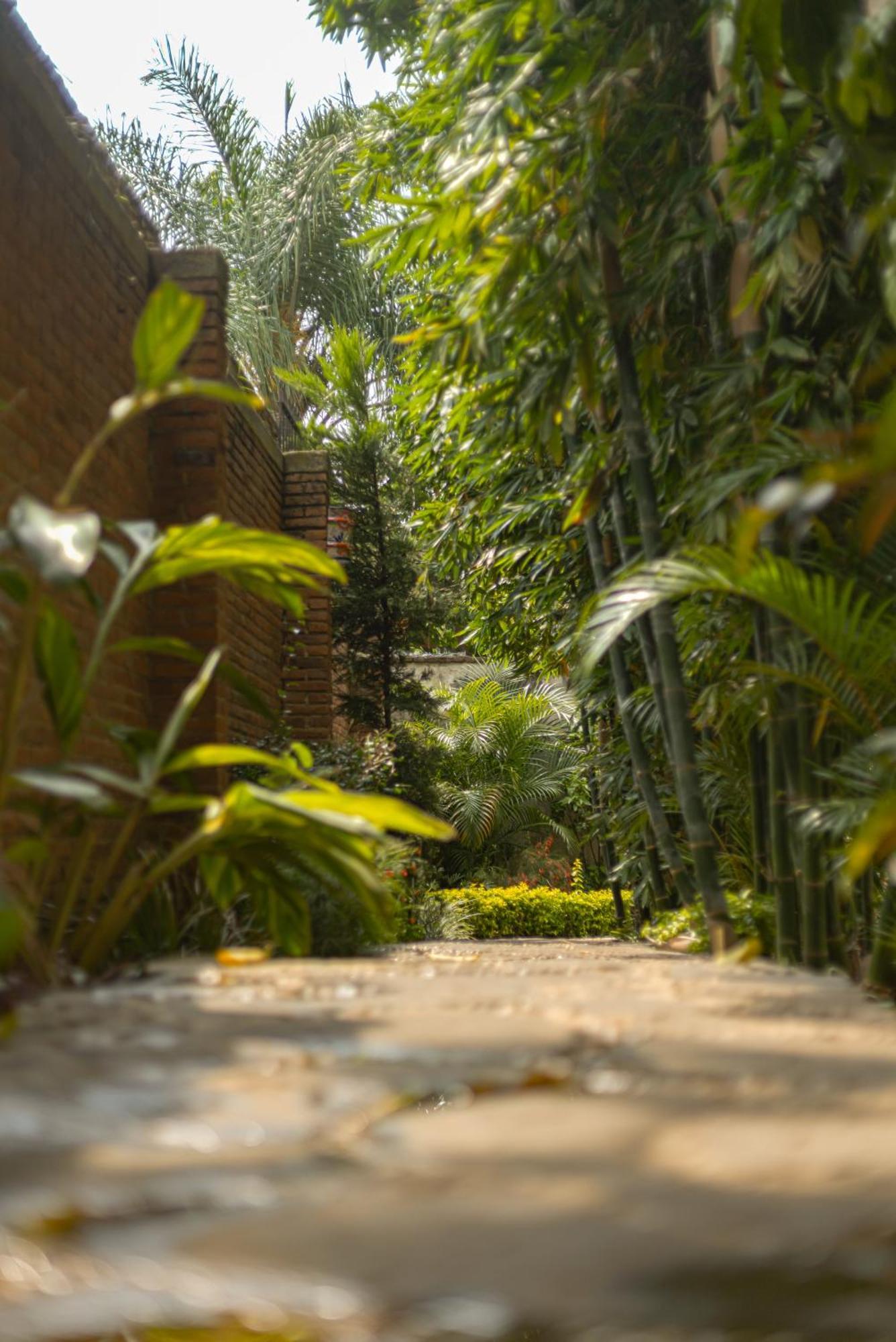 Hotel Boutique Casa Copal Ajijic Exteriér fotografie